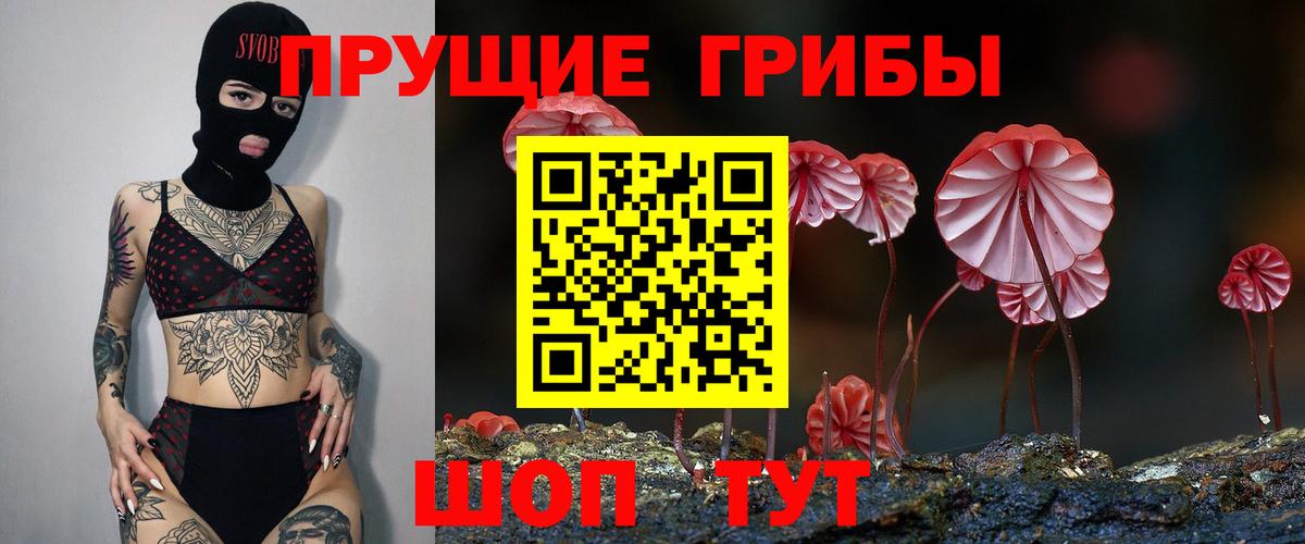 Вышний Волочёк  Галлюциногенные грибы Psilocybe  Псилоцибиновые грибы прущие грибы  Вход с VPN 